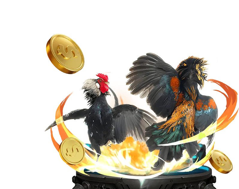 Chương trình VIP độc quyền Vuabai9